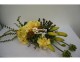 yellow hydrangea